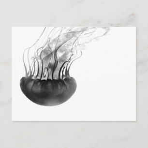Jellyfish Postcard (Black and White)
