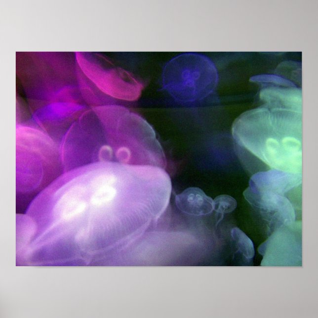 JELLYFISH POSTER (Front)