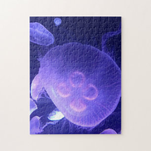 Jellyfish Puzzle