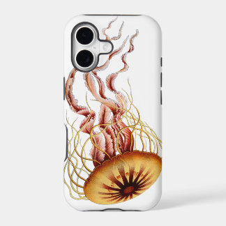 Jellyfish. Simple. Classic. Cool.