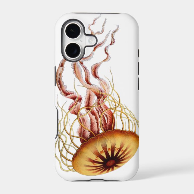 Jellyfish.  Simple.  Classic.  Cool. (Back)