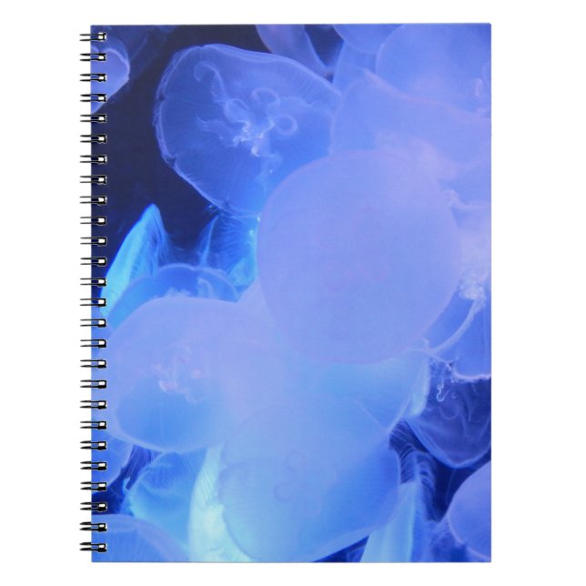 JELLYFISH SPIRAL NOTEBOOK (Front)