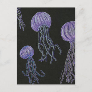 Jellyfish Stream Postcard
