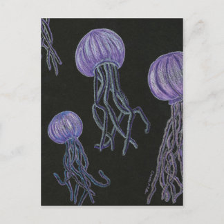 Jellyfish Stream Postcard