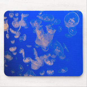 Jellyfish Swimming Photo Ocean Mouse Pad