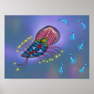 Jellyfish swimming with friends poster