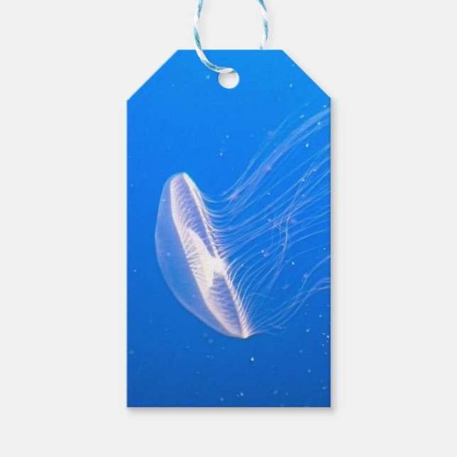 Jellyfish Tentacles Gift Tags (Front)
