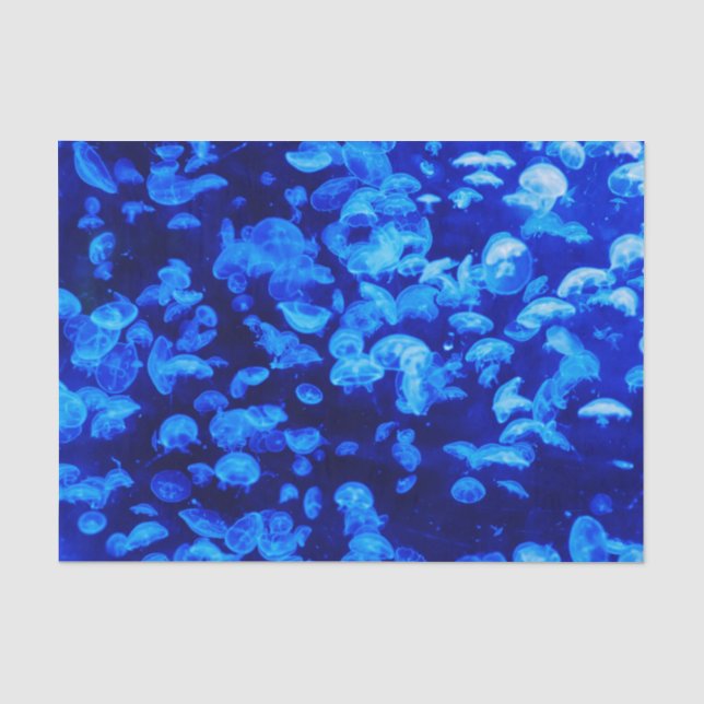 Jellyfish Tissue Paper (Front)