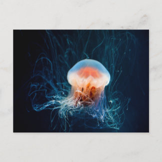 Jellyfish Underwater - Dark Glow Postcard