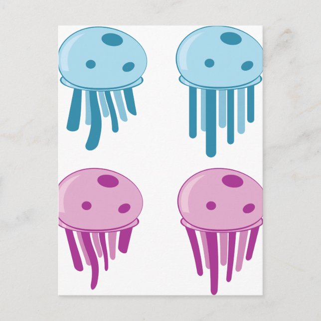 Jellyfishes Postcard (Front)