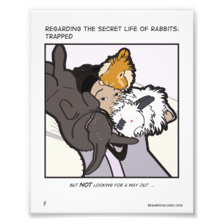 Jen Eli and Buns Photo Print