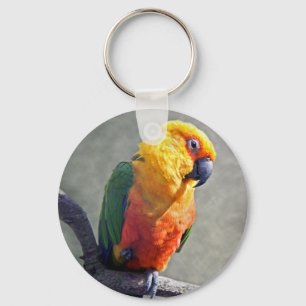 Jenday Conure Keyring