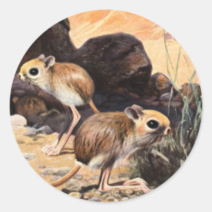 Jerboa Tees and Gifts Classic Round Sticker