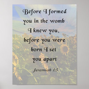 Jeremiah 1:5, Inspirational Bible Verse Poster