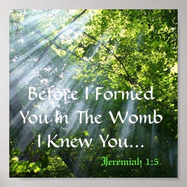 JEREMIAH 1:5 - WOODS POSTER (Front)
