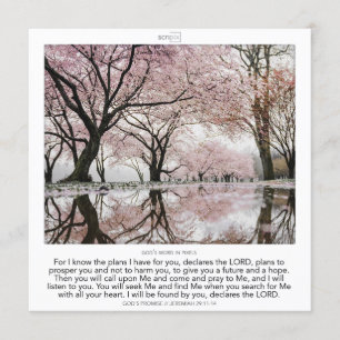 Jeremiah 29:11-14 GOD'S PROMISE SCRIPIX Invitation