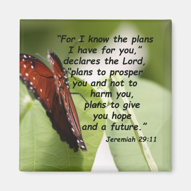 Jeremiah 29:11 (2) magnet (Front)