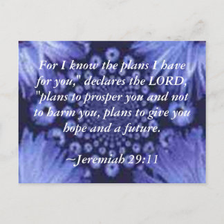 Jeremiah 29:11 Blue Daisy Post Card