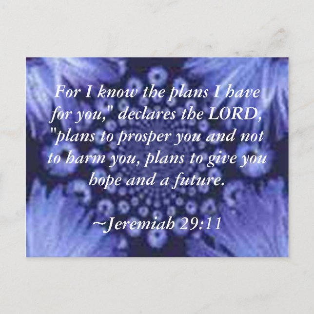 Jeremiah 29:11 Blue Daisy Post Card (Front)
