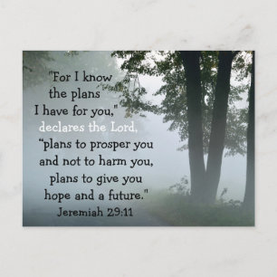 Jeremiah 29:11 For I know the plans I have for you Postcard