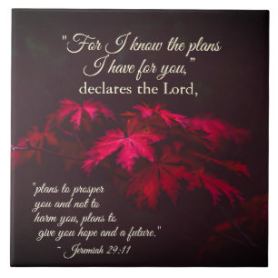 Jeremiah 29:11 For I know the plans I have for you Tile