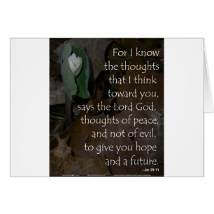 Jeremiah 29:11 hope for the future