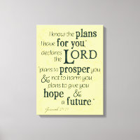 Jeremiah 29:11 I know the plans I have for you...