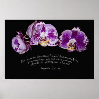 Jeremiah 29:11 poster