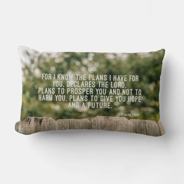 Jeremiah 29 Throw Pillow (Front)