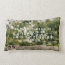 Jeremiah 29 Throw Pillow