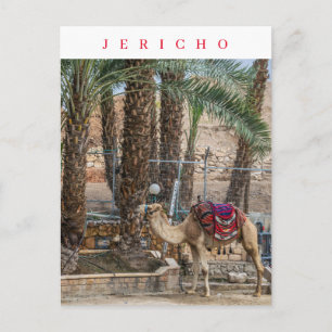Jericho camel view postcard