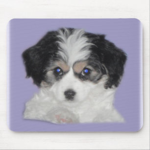 Jersey Cavachon Mousepad