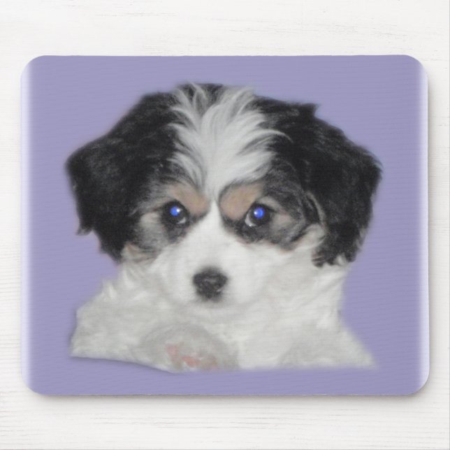 Jersey Cavachon Mousepad (Front)