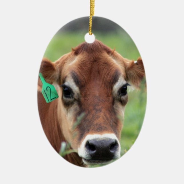 Jersey Cow Ceramic Tree Decoration (Front)