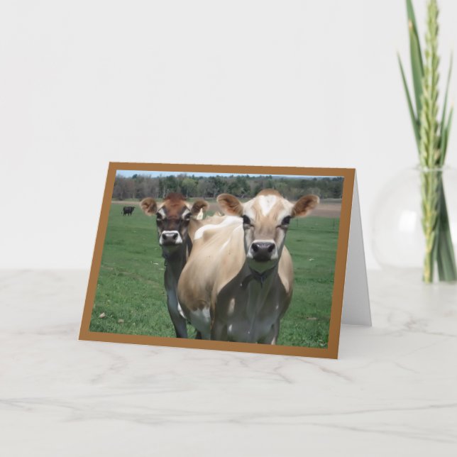 Jersey Cows Card (Front)