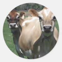 Jersey cows