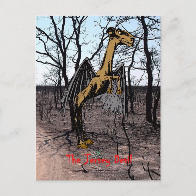 Jersey Devil Postcards (Front)