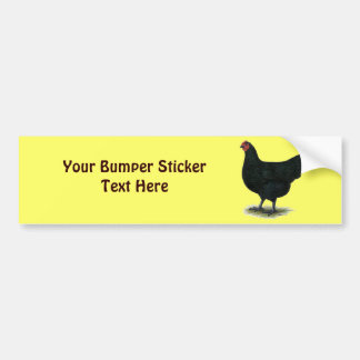 Jersey Giant: Black Hen Bumper Sticker