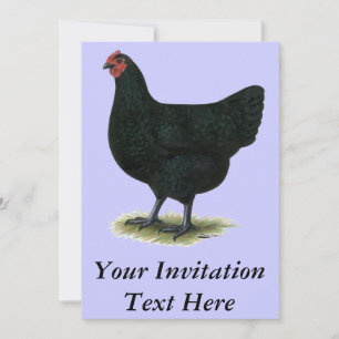 Jersey Giant:  Black Hen Invitation