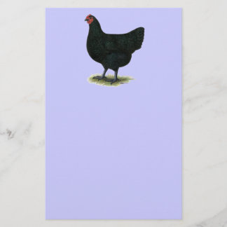 Jersey Giant:  Black Hen Stationery