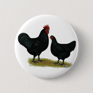 Jersey Giant Chickens 6 Cm Round Badge
