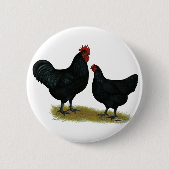 Jersey Giant Chickens 6 Cm Round Badge (Front)
