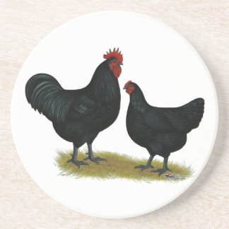 Jersey Giant Chickens Coaster