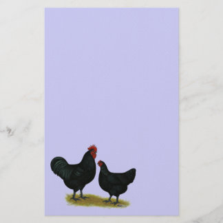 Jersey Giant Chickens Stationery