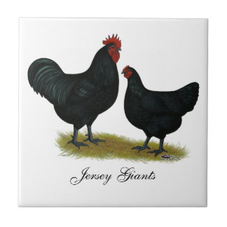 Jersey Giant Chickens Tile