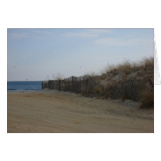 Jersey Shore * Softened Beach