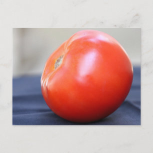 Jersey Tomato 1 Postcard