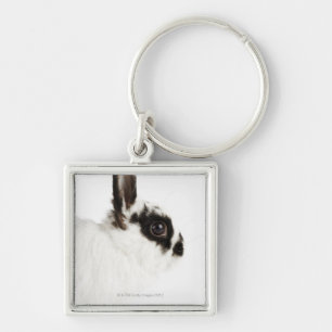 Jersey Wooly Rabbit Key Ring