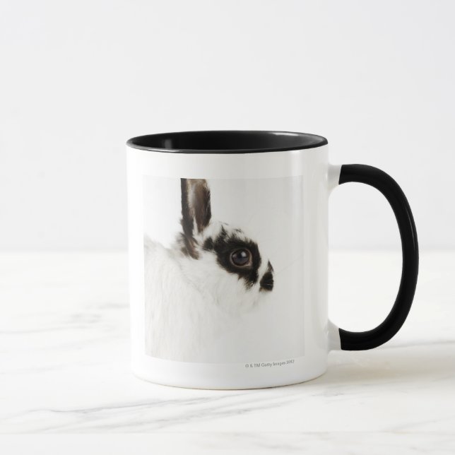Jersey Wooly Rabbit Mug (Right)