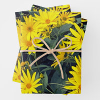 Jerusalem Artichoke